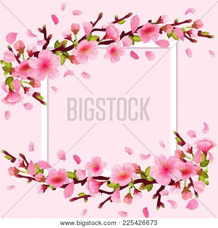 Realistic Sakura Japan Cherry Branch With Blooming Flowers And Frame. Spring Fresh Pink Design. Flyi