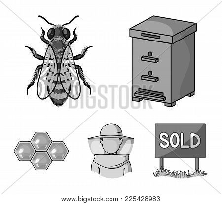 The Bee, The Bee-keeper In The Mask, The Honeycomb Of The Honey.apiary Set Collection Icons In Monoc