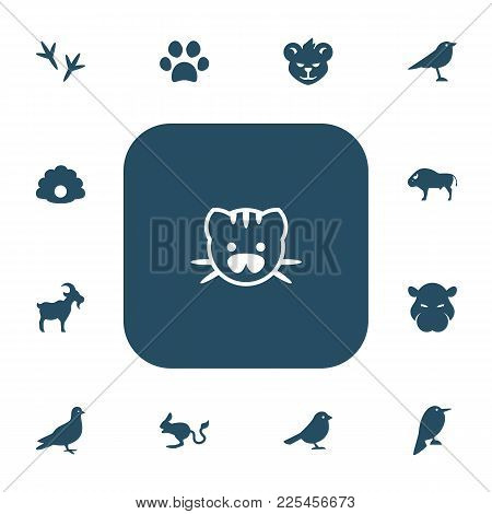 Set Of 13 Editable Zoo Icons. Includes Symbols Such As Chicken Feet, Hippo, Cat Paw And More. Can Be