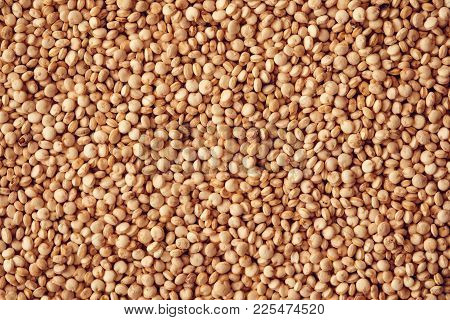 Close Up White  Quinoa Seeds , Gluten Free Superfoods With High Protine , Anioxidant And Fiber
