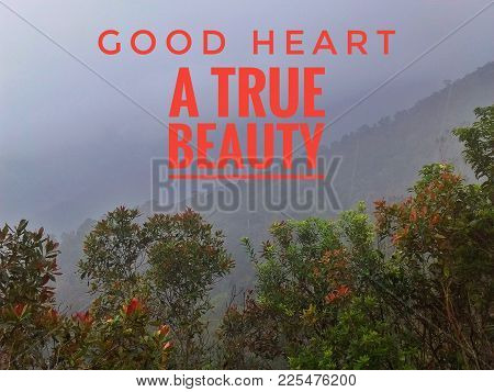 Motivational And Inspirational Quote 