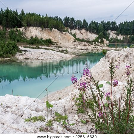 Bank Of A Small Pond With Bright Blue Water