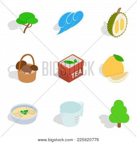 Forest Park Zone Icons Set. Isometric Set Of 9 Forest Park Zone Vector Icons For Web Isolated On Whi