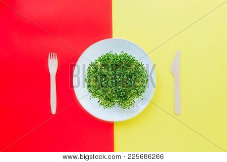 Top View Plate With Fresh Organic Sprout Micro Greens Served With Wooden Cutlery On The Bright Yello