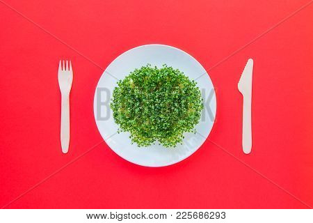 Top View Plate With Fresh Organic Sprout Micro Greens Served With Wooden Cutlery On The Bright Red B