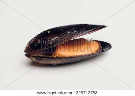 Boiled Mussels On A White Background Seafood