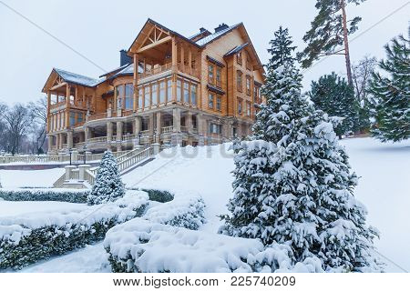 The Pine Is Covered With Snow Near The House In Mezhyhiria. Pine In The Snow Near The House.
