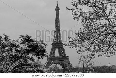 Paris, France : Black And White Eiffel Tower From A Garden With Bare Trees In Winter.