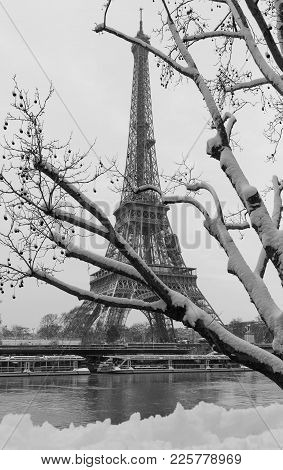 Paris, France : Black And White Eiffel Tower From A Garden With Bare Trees In Winter.