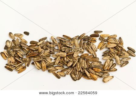 sunflower seeds