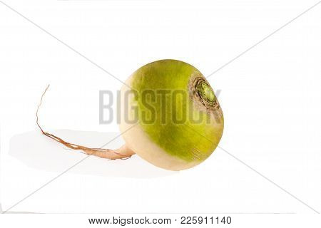 One Watermelon Radish Or Turnip On A White Background.