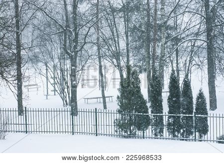 Winter Park In Snowfall. Nature In December.