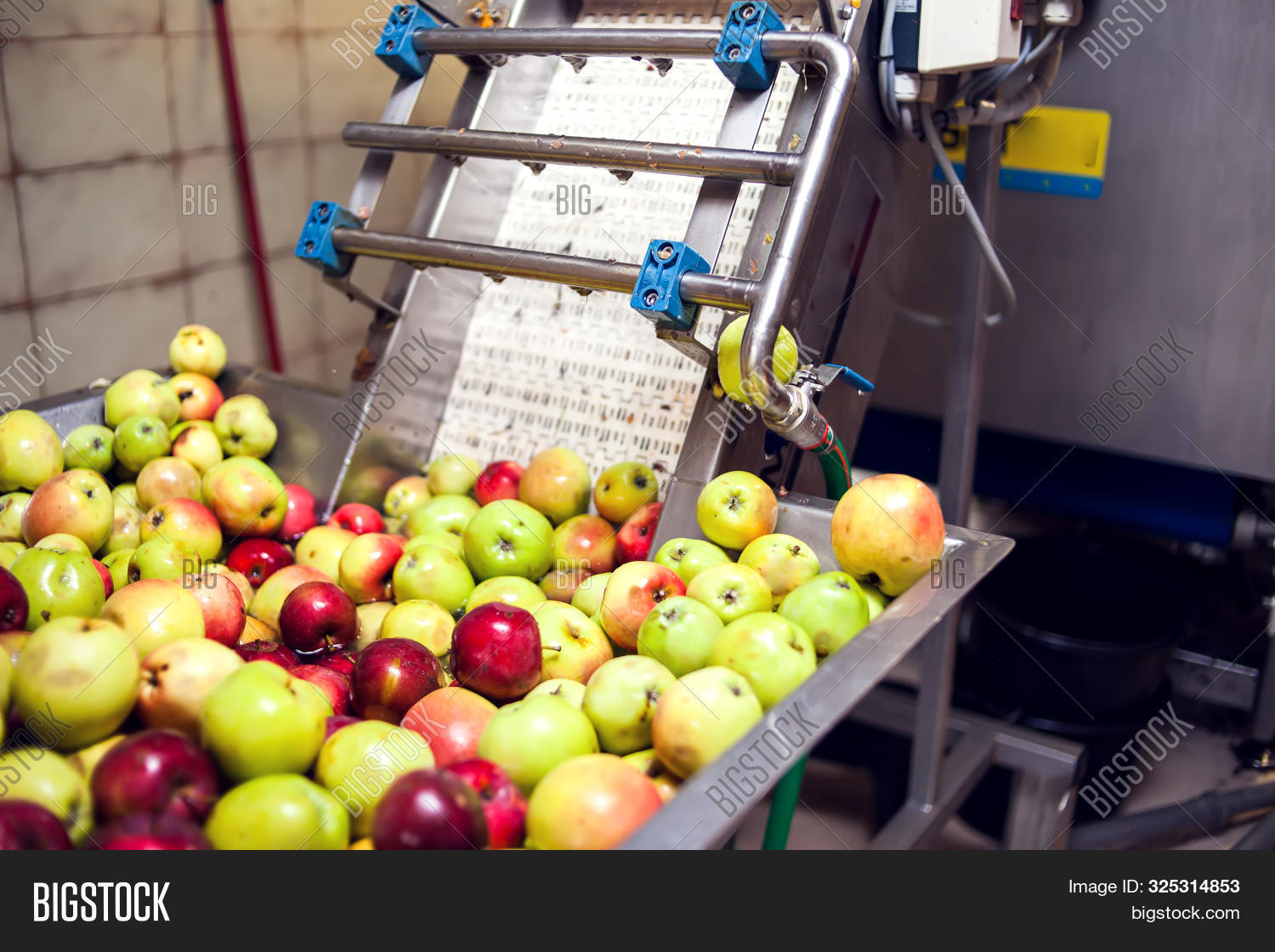 Processing Apples Image & Photo (Free Trial) Bigstock