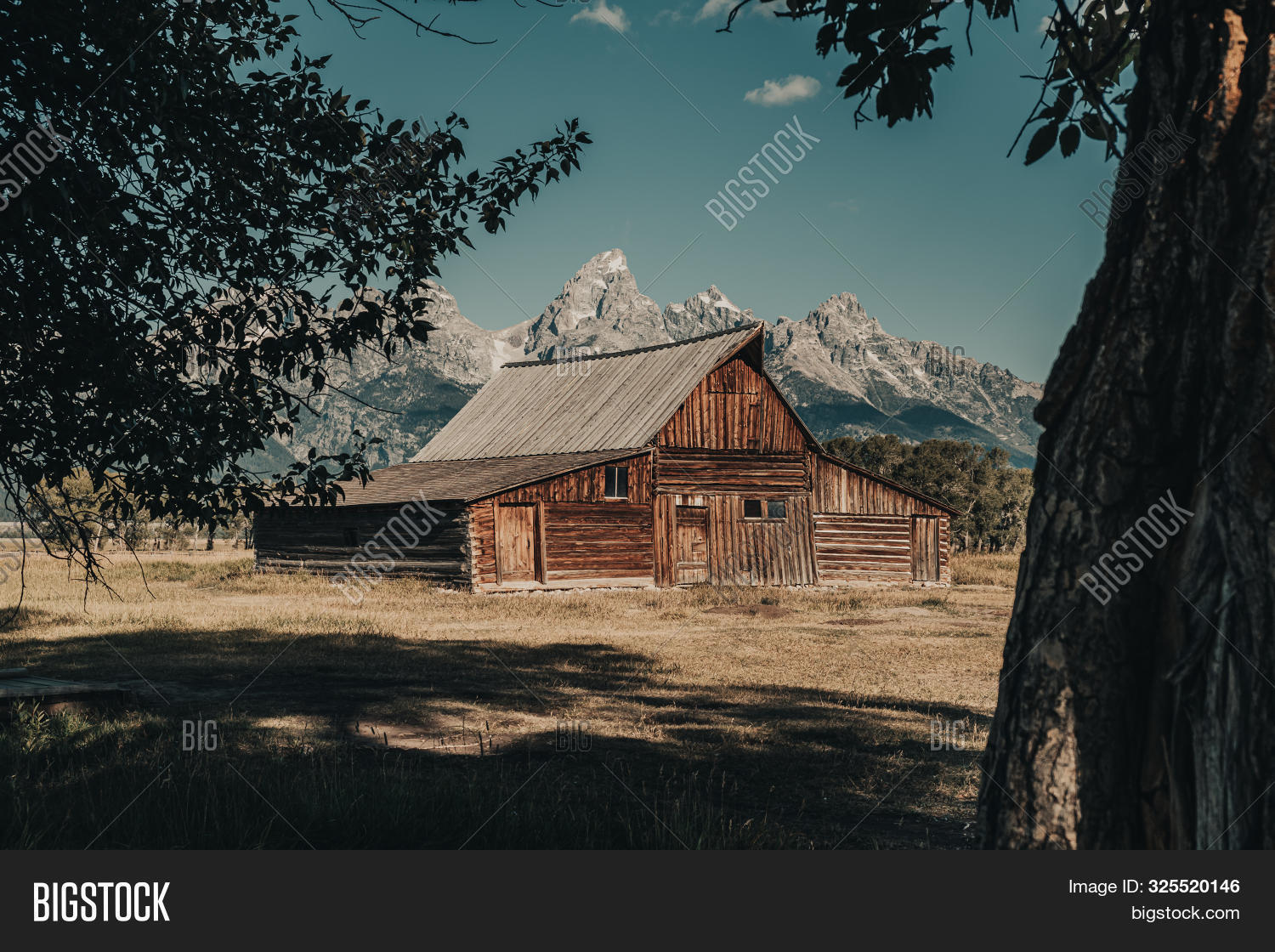 Famous T.. Moulton Image & Photo (Free Trial) | Bigstock
