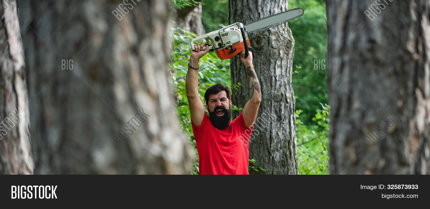 Lumberjack Chainsaw Image & Photo (Free Trial) Bigstock