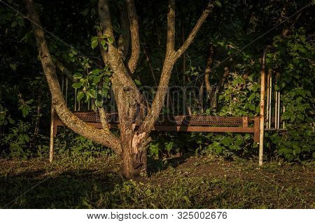An Old Rusty Iron Mesh Bed In The Garden.under The Apple Tree