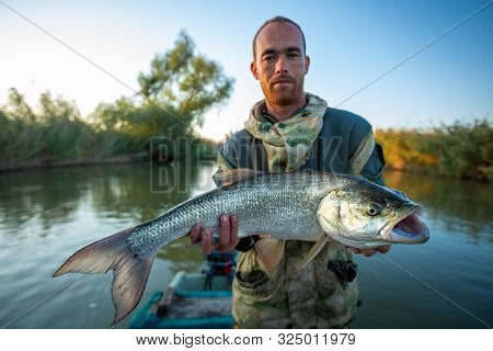 Young angler holds big Asp fish (Aspius aspius) being on the river in Astrakhan Region at sunrise, Russia