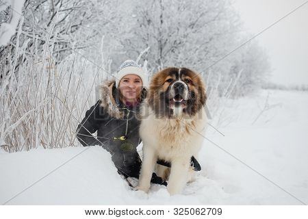 Cheerful Young Woman Having Fun With Caucasian Shepherd Dog On Snow-covered Field In Frosty Winter D