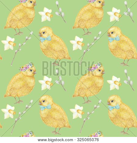 Easter Seamless Pattern Watercolor Hand Drawn Of Yellow Chiken Couple, Spring Flowers, Willow, Bow. 