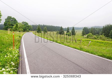 Empty Road In The Middle Of Sumava Mountains, Green Trees Alley With Thick Fog In The Background, Ho