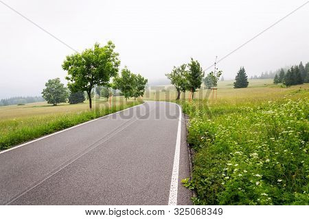 Empty Road In The Middle Of Sumava Mountains, Green Trees Alley With Thick Fog In The Background, Ho