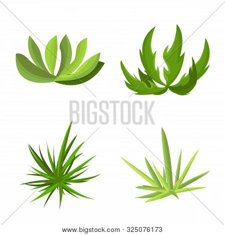 Vector Design Of Garden And Grass Icon. Set Of Garden And Shrub Stock Vector Illustration.