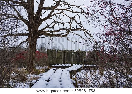 A Frozen, Winter Landscape Photograph Taken From A Nature Preserve In New York State, Showing A Froz