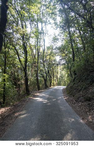 The way of the ter by Masnou in Catalonia