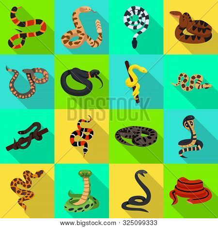 Vector Illustration Of Snake And Creepy Sign. Set Of Snake And Wildlife Vector Icon For Stock.
