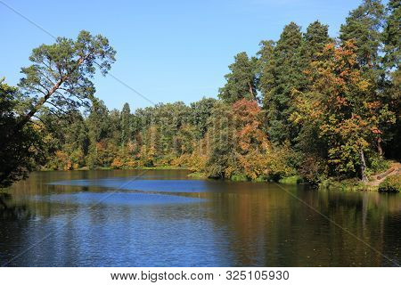Golden Autumn In City Country Forest Park. Picturesque Pond, Fall Forest And Single Tree-pine Over T
