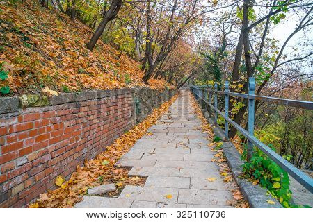 Park Walkway At Buda Hill Castle, Budapest, Hungary. Autumn.