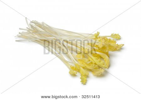   เซลซีคะน้างอกบนพื้นหลังสีขาว