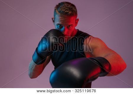 Image of a young serious sports man boxer posing isolated over neon lights in gloves make boxing exercises.