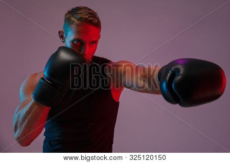 Photo of a concentrated strong young sports man boxer posing isolated over neon lights in gloves make boxing exercises.