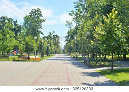 Alley In Park At Sunny Summer Day In Stolin, Belarus.