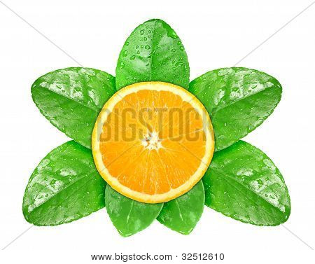 Oranje Fruit op groene blad met dauw