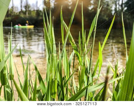 canoeing on a Loue river in eastern France, Europe