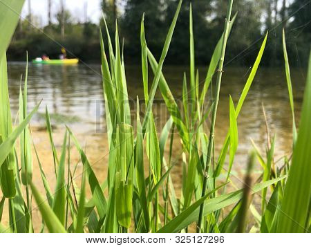 canoeing on a Loue river in eastern France, Europe