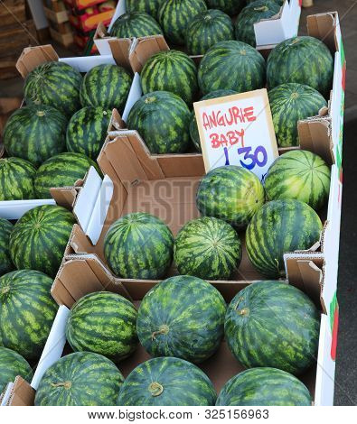 Many Boxes Of Baby Watermelon Called Anguerie In Italian Language With Tag Price In Summer For Sale