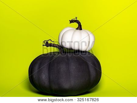 White Pumpkin On Top If A Black Pumpkin With A Yellow Green Background