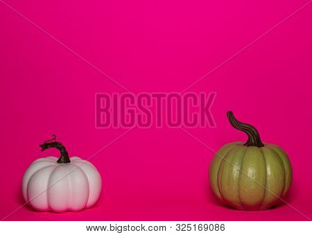 Green And White Thanksgiving Pumpkins On A Pink Background With Room For Text