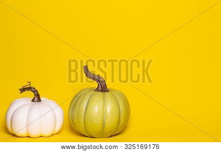 Green And White Thanksgiving Pumpkins On A Green Background With Room For Text