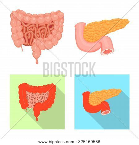 Vector Illustration Of Body And Human Icon. Set Of Body And Medical Vector Icon For Stock.