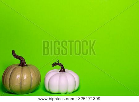 Green And White Thanksgiving Pumpkins On A Green Background With Room For Text
