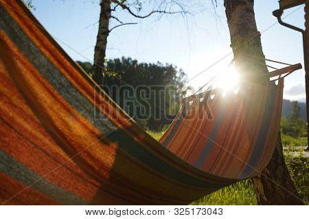 An Empty Hammock With Red And Blue Stripes Is Hanging On The Bearch Tree And Lightened By Sun Rays
