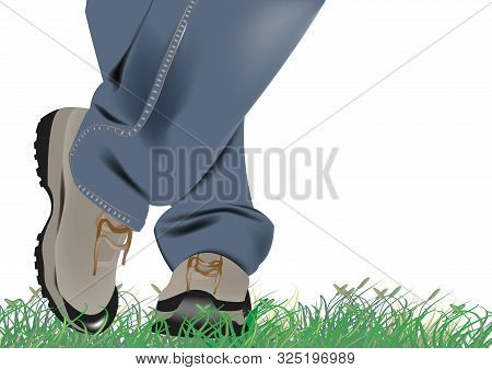 Male Legs With Sneakers On The Lawn