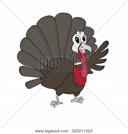 Turkey. Funny Cute Cartoons Colorful Farm Bird Hand Drawn Art Design Stock Vector Illustration For W