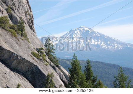 Shasta