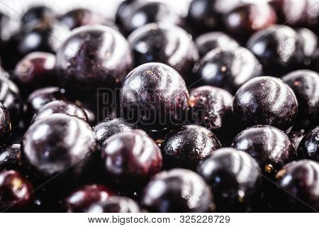 The Jabuticaba Or Jaboticaba Is The Fruit Of The Jaboticabeira Or Jabuticabeira, A Brazilian Fruit T