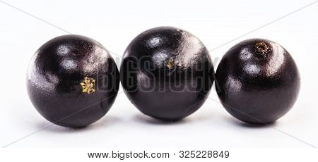 The Jabuticaba Or Jabuticaba Is A Purplish Black-white Fruit, Typical Fruit Of Brazil, On Isolated W